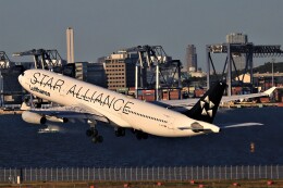 みるぽんたさんが、羽田空港で撮影したルフトハンザドイツ航空 A340-313Xの航空フォト（飛行機 写真・画像）