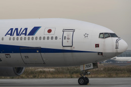 tkosadaさんが、羽田空港で撮影した全日空 777-281の航空フォト（飛行機 写真・画像）