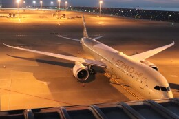 BOEING737MAX-8さんが、中部国際空港で撮影したエティハド航空 787-10の航空フォト（飛行機 写真・画像）