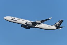 航空フォト：D-AIGP ルフトハンザドイツ航空 A340-300