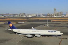 しかばねさんが、羽田空港で撮影したルフトハンザドイツ航空 A340-313Xの航空フォト（飛行機 写真・画像）