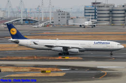 Chofu Spotter Ariaさんが、羽田空港で撮影したルフトハンザドイツ航空 A340-313Xの航空フォト（飛行機 写真・画像）