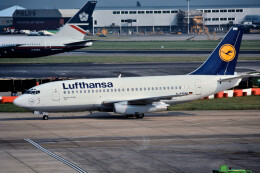 航空フォト：D-ABHN ルフトハンザドイツ航空 737-200