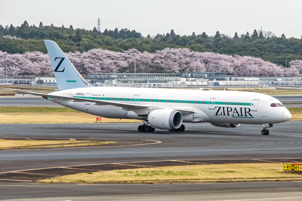 全日空B737−800模型 Amazon.co.jp: [全日空商事] 1 200 ANA B737-800 : おもちゃ