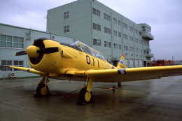 piratさんが、静浜飛行場で撮影した航空自衛隊 T-6F Texanの航空フォト（飛行機 写真・画像）