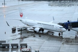 spockerさんが、中部国際空港で撮影した日本トランスオーシャン航空 737-8Q3の航空フォト（飛行機 写真・画像）