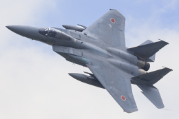 千歳基地 - Chitose Airbase [RJCJ]で撮影された航空自衛隊 - Japan Air Self-Defense Forceの航空機写真