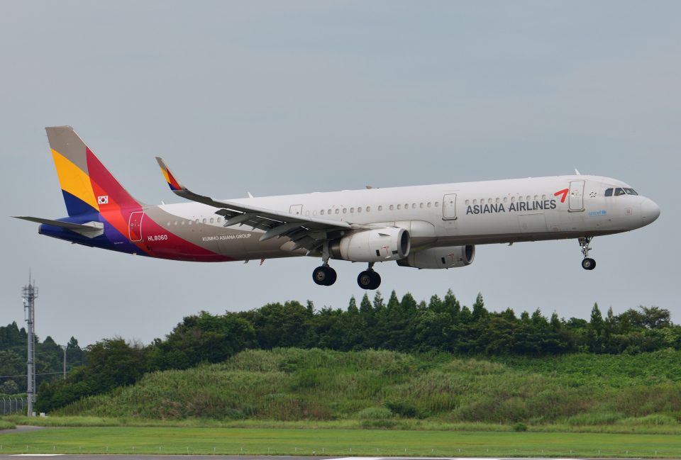 アシアナ航空 Aviationtagt A321-100 コンビ色 アシアナ航空 Aviationtagt A321-100 コンビ色