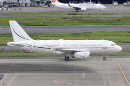 wingace752さんが、羽田空港で撮影したGama アビエーション A319-133CJの航空フォト（飛行機 写真・画像）