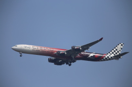 超レア‼️エディハド航空　A340-600 2017 F1アブダビGP特別塗装機❣️ Phoenix A340-600 エティハド航空 特別塗装 「F1アブダビ