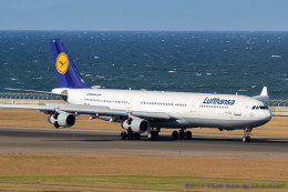 謎のタイ人さんが、中部国際空港で撮影したルフトハンザドイツ航空 A340-311の航空フォト（飛行機 写真・画像）