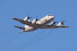 てくろくさんが、習志野演習場で撮影した海上自衛隊 P-3Cの航空フォト(飛行機 写真・画像)