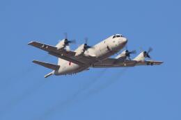 てくろくさんが、習志野演習場で撮影した海上自衛隊 P-3Cの航空フォト（飛行機 写真・画像）