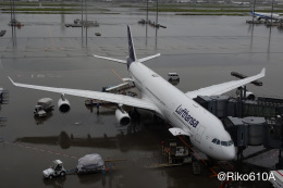 Riko610A (休止中)さんが、羽田空港で撮影したルフトハンザドイツ航空 A340-313Xの航空フォト（飛行機 写真・画像）