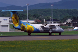 お花の飛行機 ひまわり」特別塗装機 エアーニッポンネットワーク