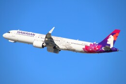 masa707さんが、ロサンゼルス国際空港で撮影したハワイアン航空 A321-271Nの航空フォト（飛行機 写真・画像）