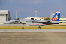 sky01さんが、那覇空港で撮影した航空自衛隊 F-15J Eagleの航空フォト（飛行機 写真・画像）