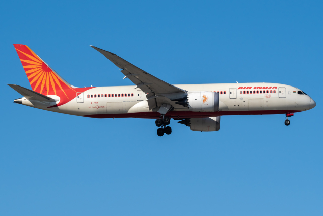 B787-8 エアインディア 飛行姿勢 (スタンド付属) 希少 B787-8 エアインディア 飛行姿勢 (スタンド付属) 希少 - メルカリ