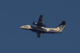 STAR TEAMさんが、新千歳空港で撮影したオーロラ DHC-8-201Q Dash 8の航空フォト（飛行機 写真・画像）