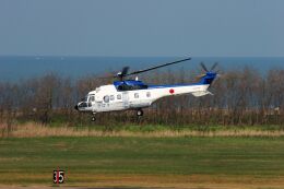 もぐ３さんが、新潟空港で撮影した陸上自衛隊 AS332L Super Pumaの航空フォト（飛行機 写真・画像）