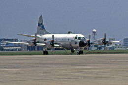 厚木飛行場 - Naval Air Facility Atsugi [NJA/RJTA]で撮影された海上自衛隊 - Japan Maritime Self-Defense Forceの航空機写真