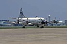 apphgさんが、厚木飛行場で撮影した海上自衛隊 P-3Cの航空フォト（飛行機 写真・画像）