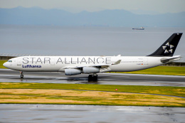 塩対応むすめYさんが、中部国際空港で撮影したルフトハンザドイツ航空 A340-311の航空フォト（飛行機 写真・画像）