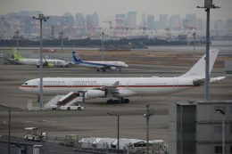 koutyan8810さんが、羽田空港で撮影したドイツ空軍 A340-313Xの航空フォト（飛行機 写真・画像）