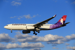 航空機・ヘリコプター Hawaiian A330-300 N399HA Hawaiian A330-200 N399HA - メルカリ