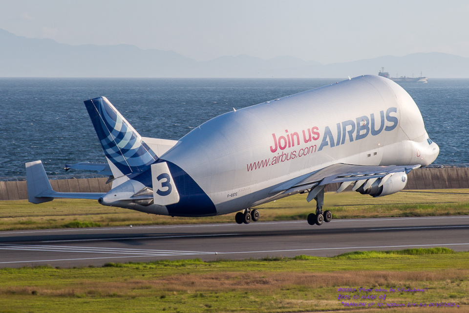 イベリア航空 Aviationtag エアバスA300 What Happened To Iberia's Airbus A300s?