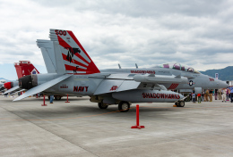 よつばさんが、岩国空港で撮影したアメリカ海軍 EA-18G Growlerの航空フォト（飛行機 写真・画像）