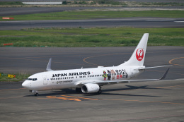 BOEING 737-800 JAL JA329J おめでとう！世界文化遺産登録 JAL、沖縄・奄美の世界遺産登録で特別塗装機 初便は奄美へ