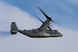 フォレストさんが、松島基地で撮影した陸上自衛隊 MV-22Bの航空フォト（飛行機 写真・画像）