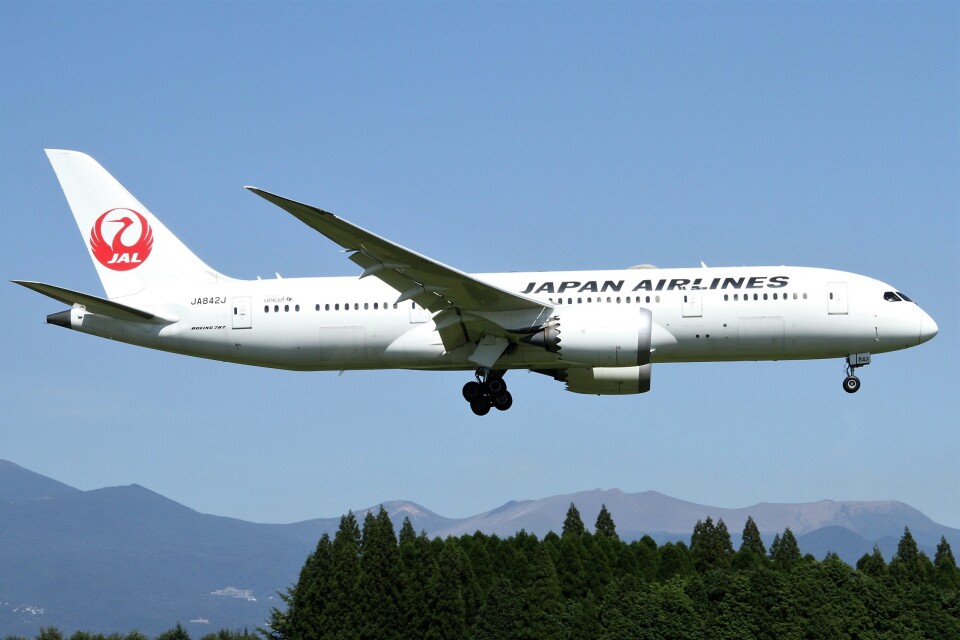 日本航空 Boeing 787-8 Dreamliner JA842J 鹿児島空港 航空