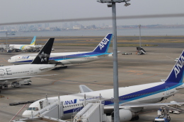 hsaMさんが、羽田空港で撮影した全日空 767-381の航空フォト（飛行機 写真・画像）