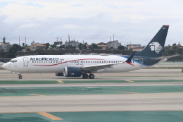 アエロメヒコ航空 機材一覧 ボーイング737 MAX 8 | FlyTeam