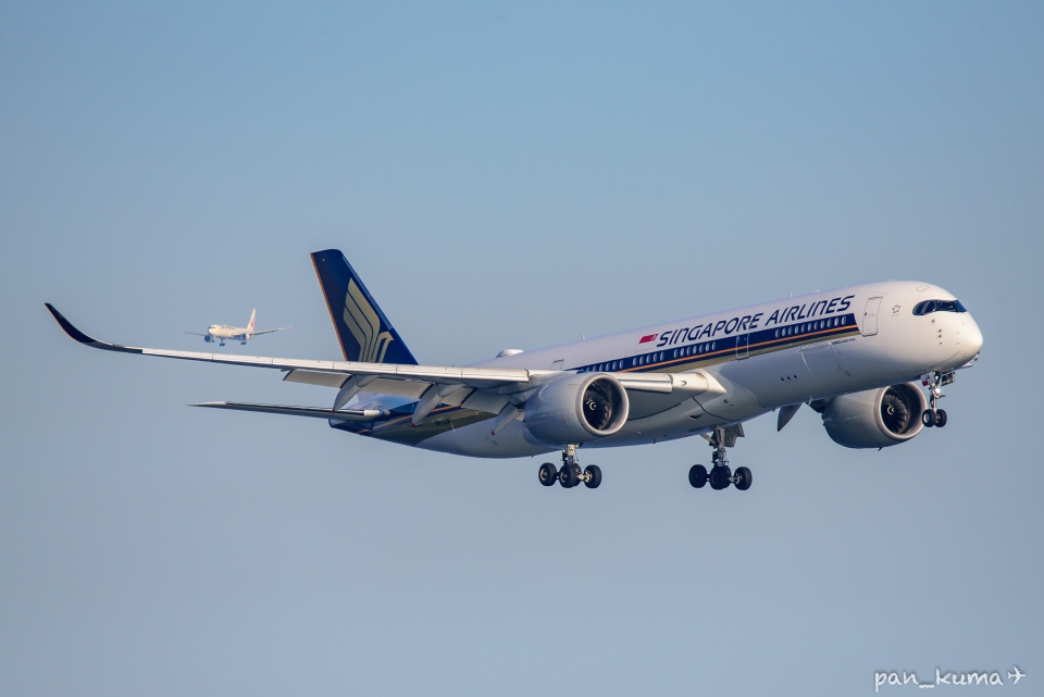シンガポール航空Airbus350-900 世界最長の直行便、航空券発売 シンガポール航空 - CNN.co.jp