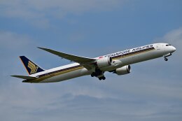 天心さんが、成田国際空港で撮影したシンガポール航空 787-10の航空フォト（飛行機 写真・画像）