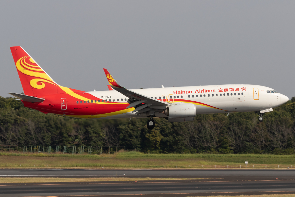 Boeing 737-800 海南航空 1/400 原神コラボ 値下げ対応可 ヨドバシ.com - 全日空商事 NH20237 1/200 完成品 BOEING 737