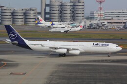 幹ポタさんが、羽田空港で撮影したルフトハンザドイツ航空 A340-313Xの航空フォト（飛行機 写真・画像）