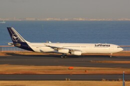 幹ポタさんが、羽田空港で撮影したルフトハンザドイツ航空 A340-313Xの航空フォト（飛行機 写真・画像）