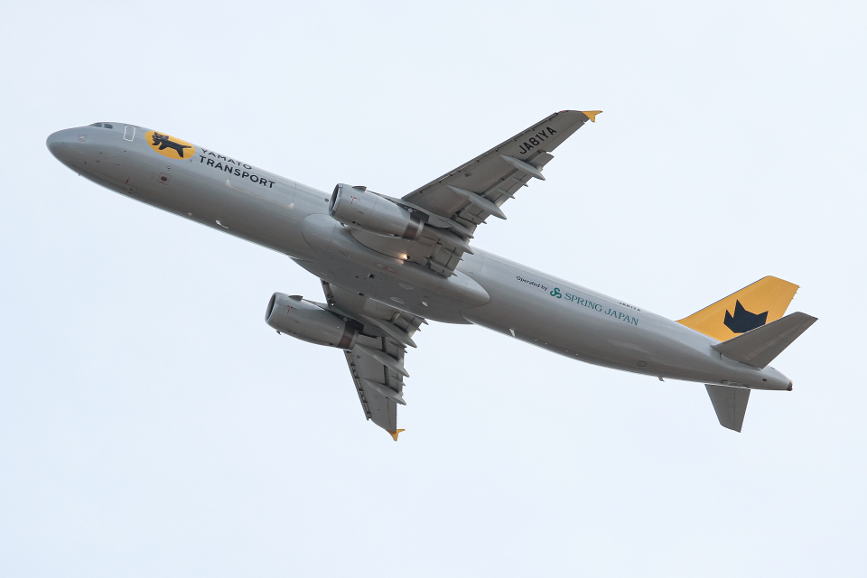 ヤマト運輸 Airbus A321 JA81YA 関西国際空港 航空フォト | by
