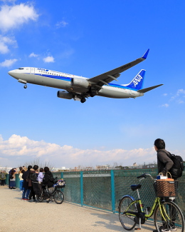 まさとしさんが、伊丹空港で撮影した全日空 737-881の航空フォト（飛行機 写真・画像）