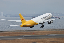 わんだーさんが、中部国際空港で撮影したDHL 777-Fの航空フォト（飛行機 写真・画像）