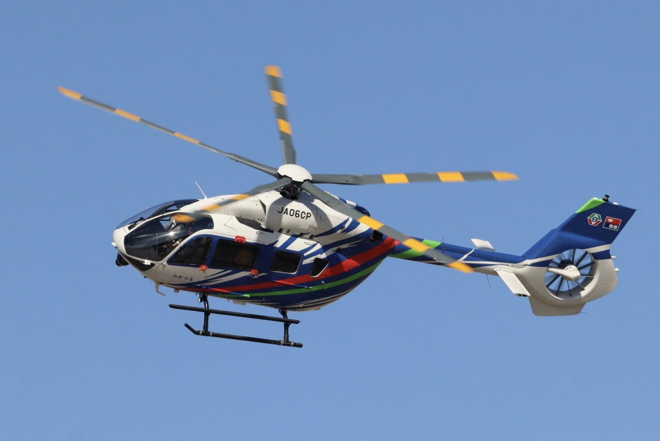 希少？飛行機に乗ったグルミット 人気デザイナー 希少？飛行機に乗ったグルミット その他 - その他