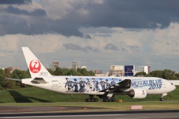 SAMURAI BLUE 応援ジェット 1号機」特別塗装機 日本航空 (777