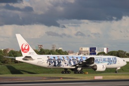 yasunori0624さんが、伊丹空港で撮影した日本航空 777-289の航空フォト（飛行機 写真・画像）