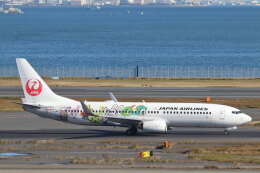 STAR TEAMさんが、羽田空港で撮影した日本航空 737-846の航空フォト（飛行機 写真・画像）