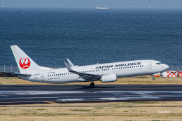 Ailes ハネッコさんが、羽田空港で撮影した日本航空 737-846の航空フォト（飛行機 写真・画像）