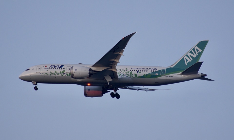 全日空 Boeing 787-8 Dreamliner JA874A 長崎空港 航空フォト
